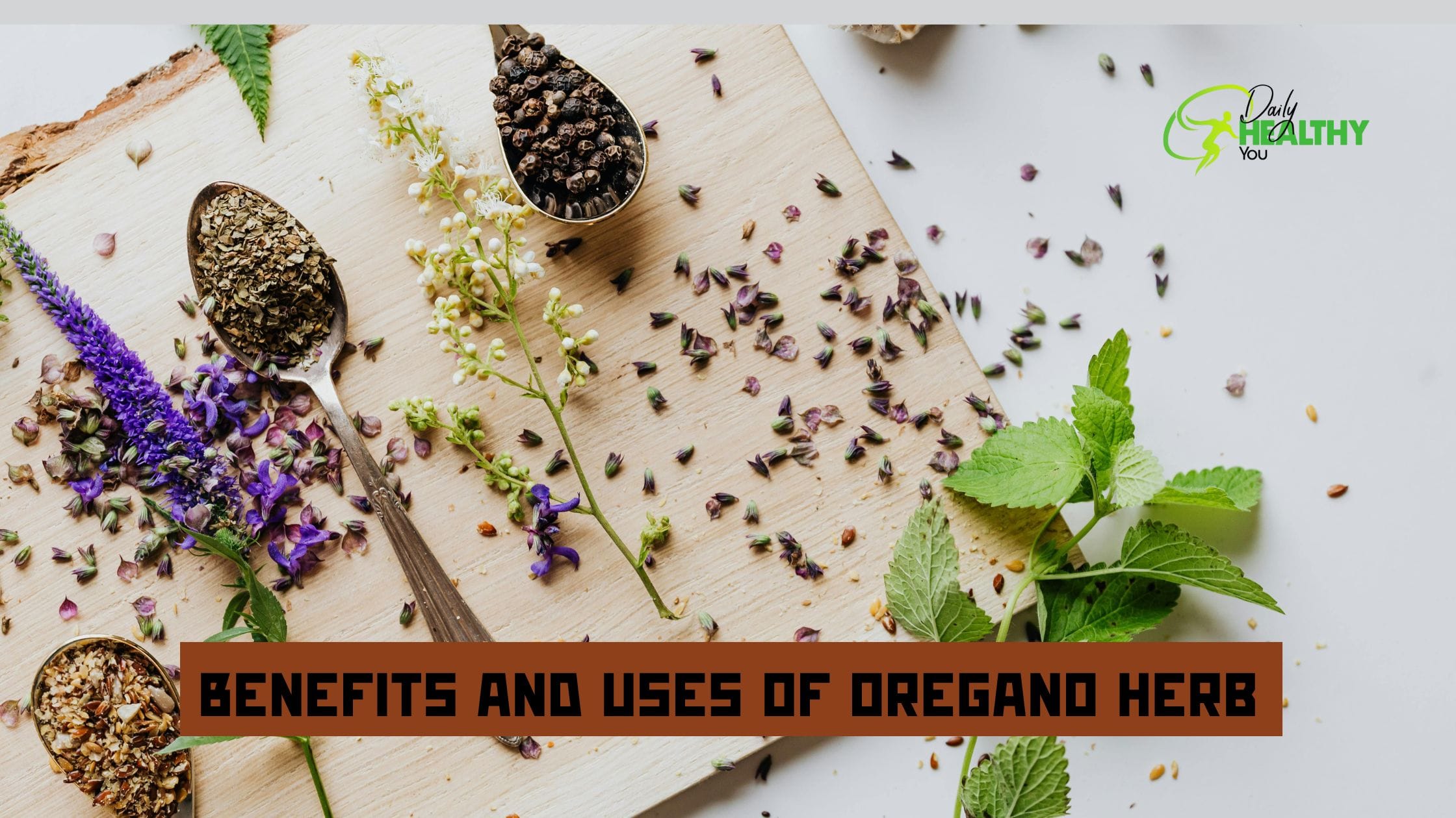 Benefits and Uses of Oregano Herb