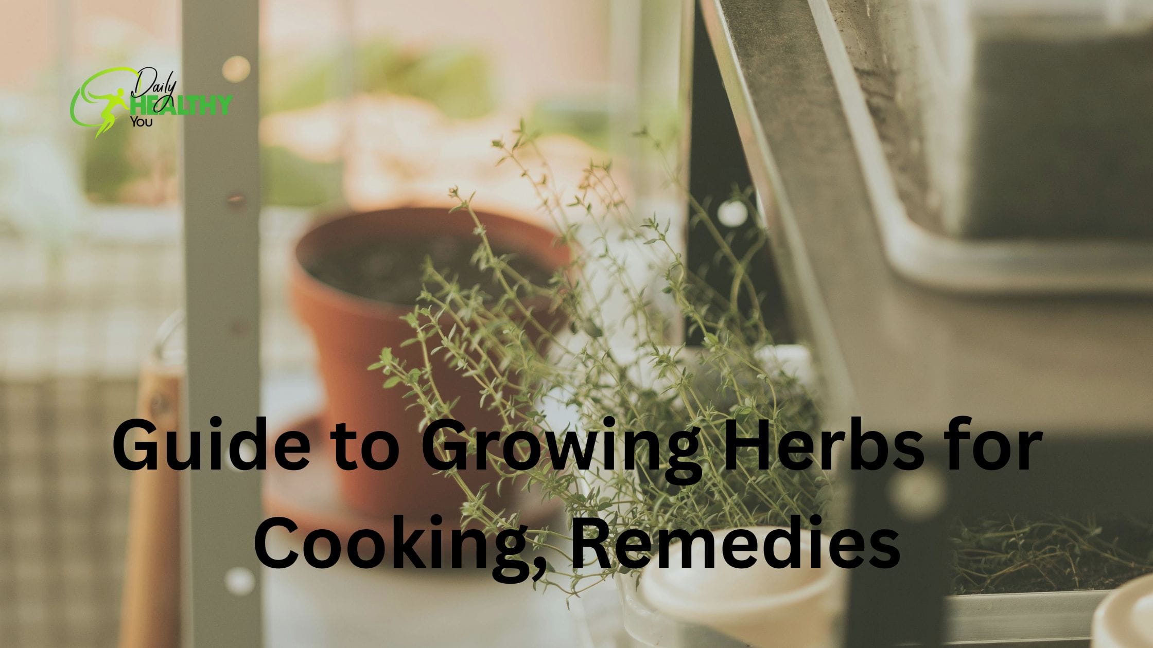 Guide to Growing Herbs for Cooking, Remedies, and More